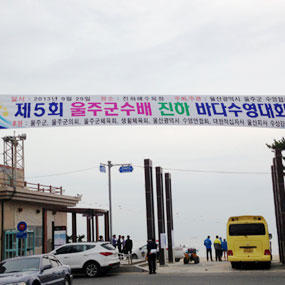진하바다축제 여행정보 상세소개